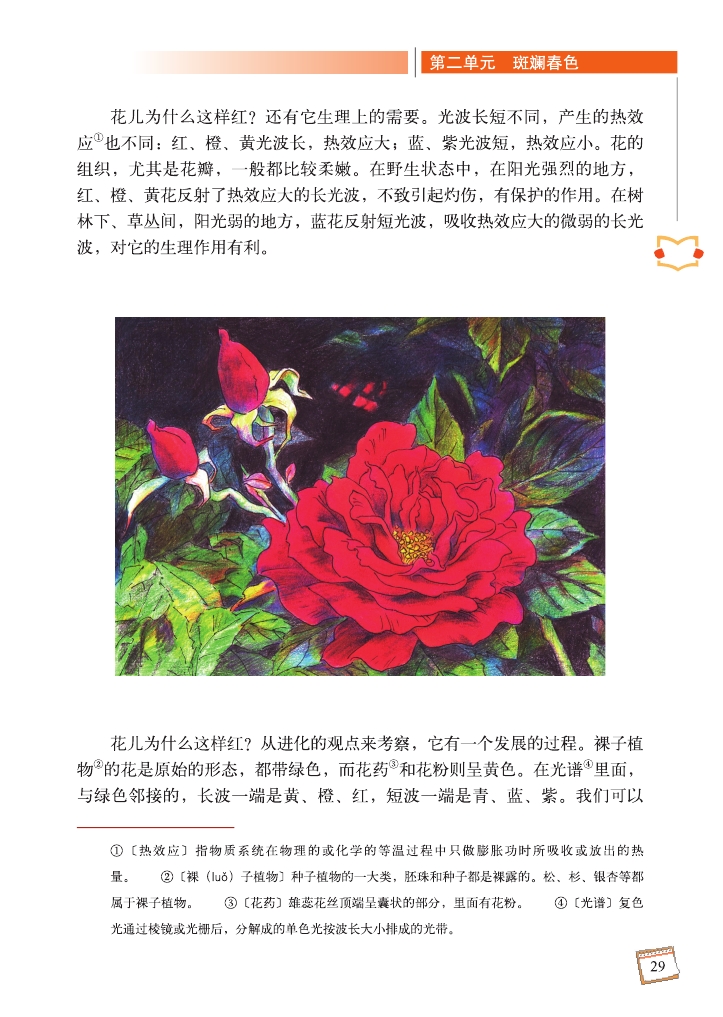 ﹡花儿为什么这样红贾祖璋(Page29)